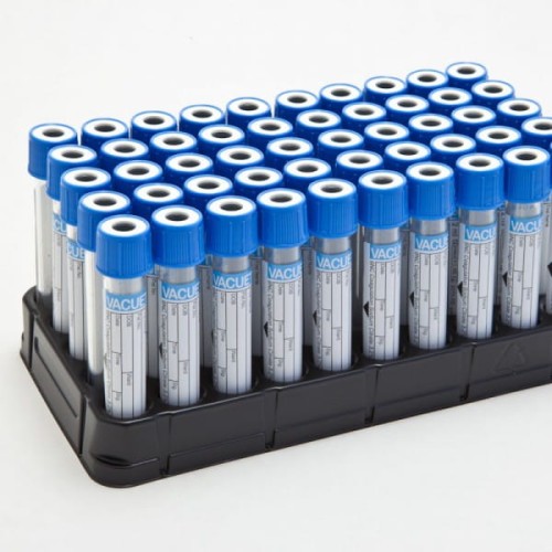 Cytrynian 1.jpg