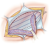 d9838d37a26234408d6ac4d0d74d9b3b.png